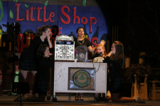 Little Shop of Horrors 208